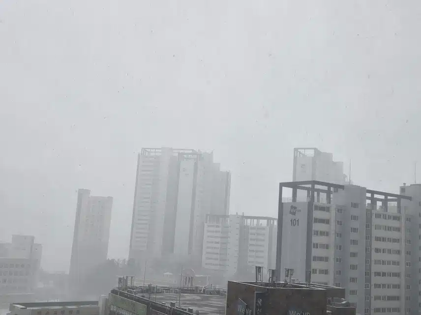 *눈이 쌓여가고 있어요❄️❄️