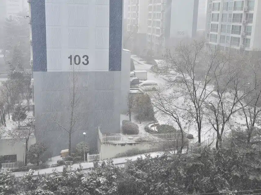 *눈이 쌓여가고 있어요❄️❄️
