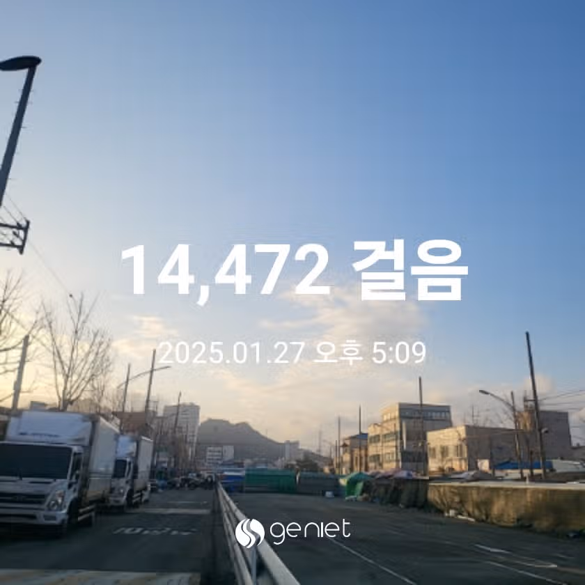 저녁식사 후 산책 나왔네요.