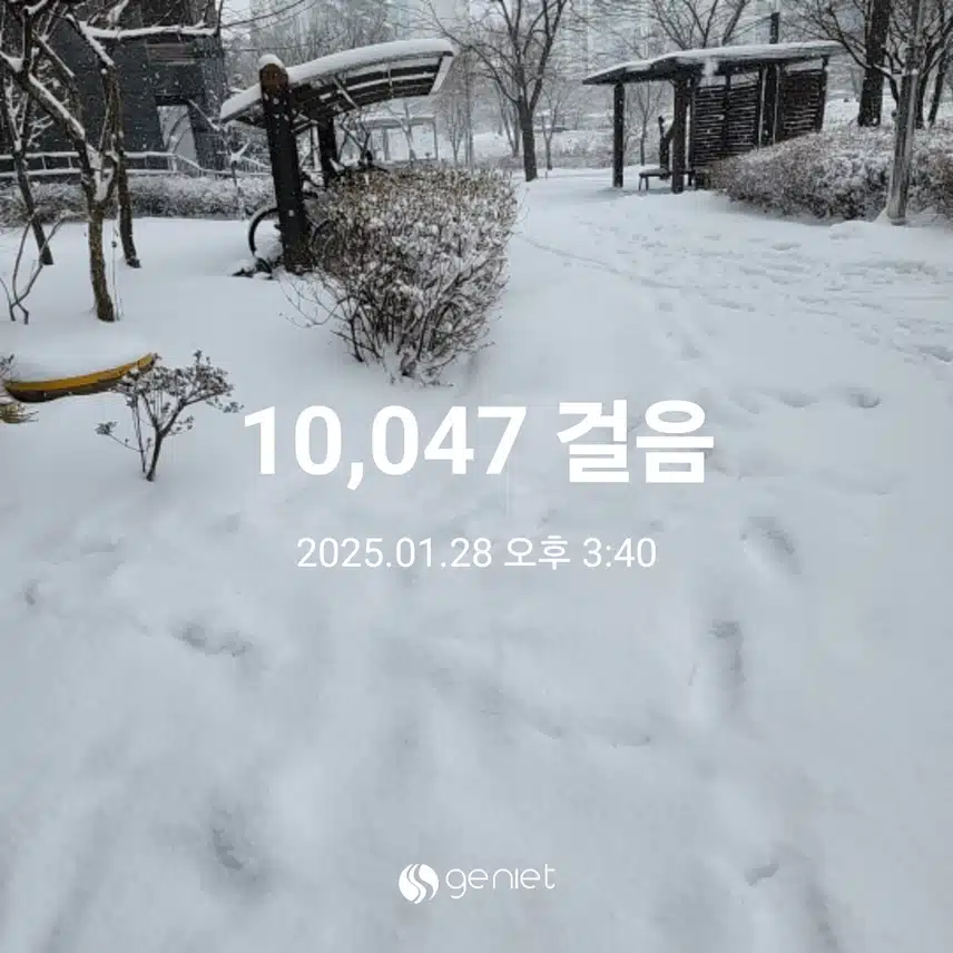 만보걷기운동 