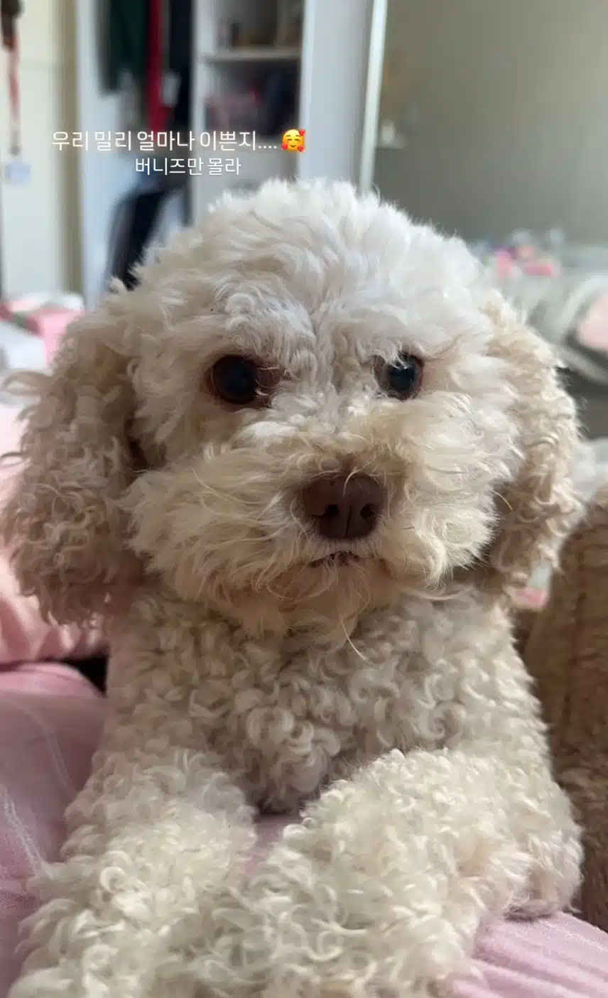 진짜 너무 귀여워 둘다 🥰