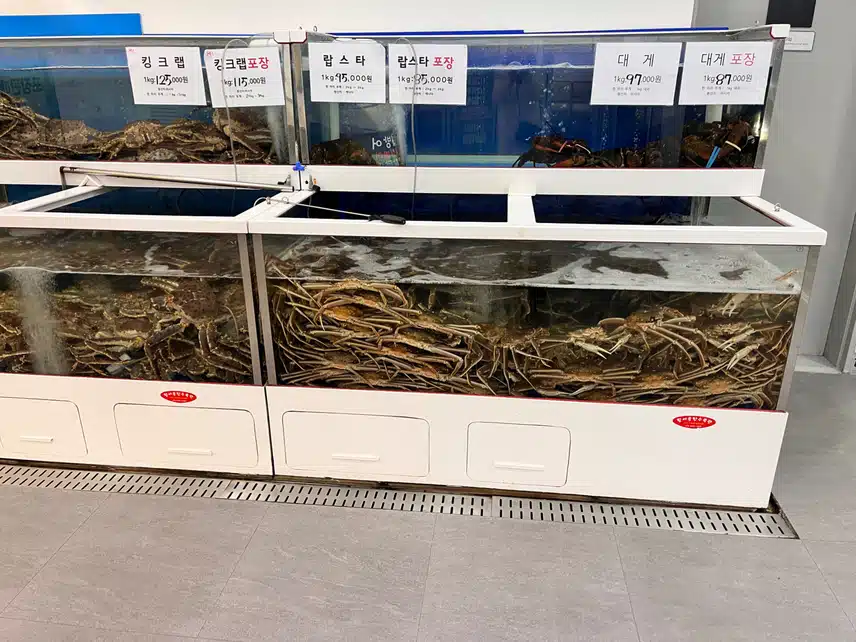 🐋 🍣 광어 연어 회 포장 