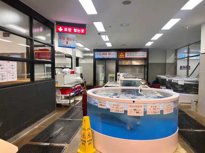 🐋 🍣 광어 연어 회 포장 