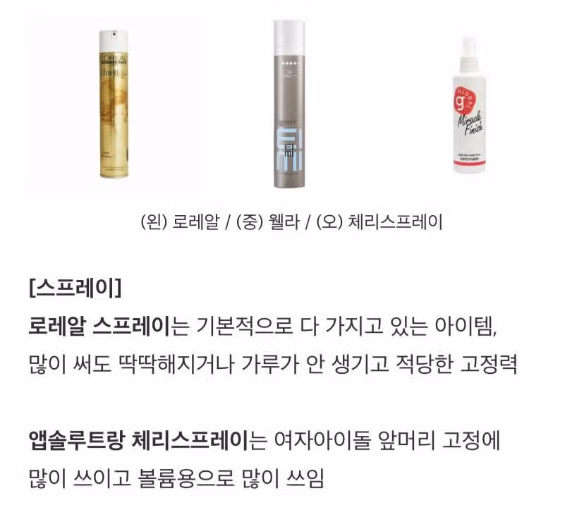 미용실에서 쓴다는 전문가용 제품들