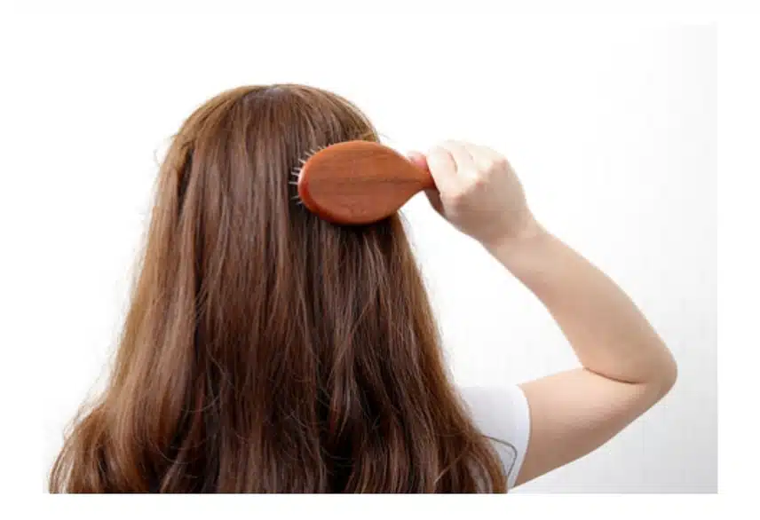 *머리 자주 빗어주시나요?? 머리를 자주 빗어주면 좋은 점!!