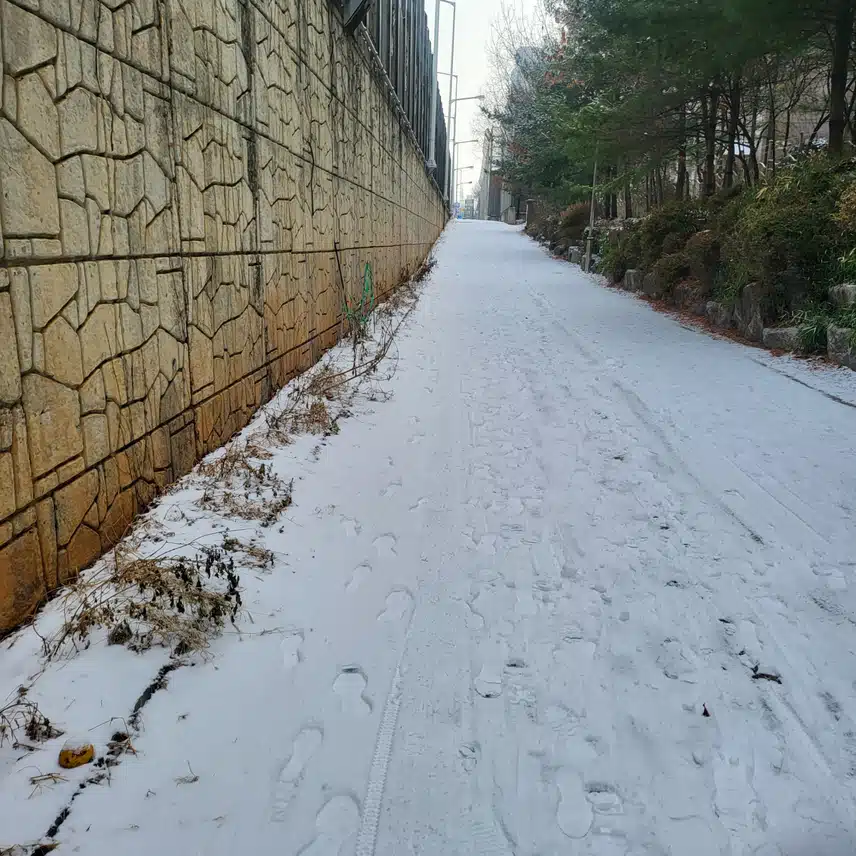 산책로
