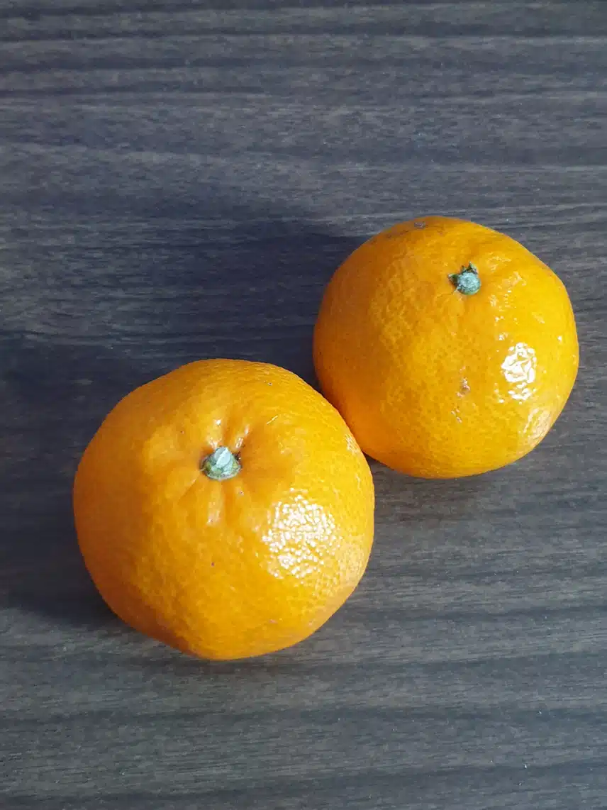 귤 먹었어요