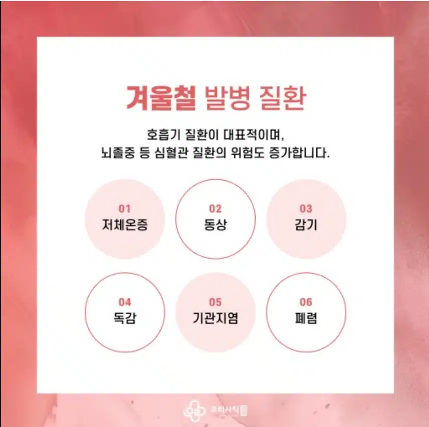 오후의 건강정보 