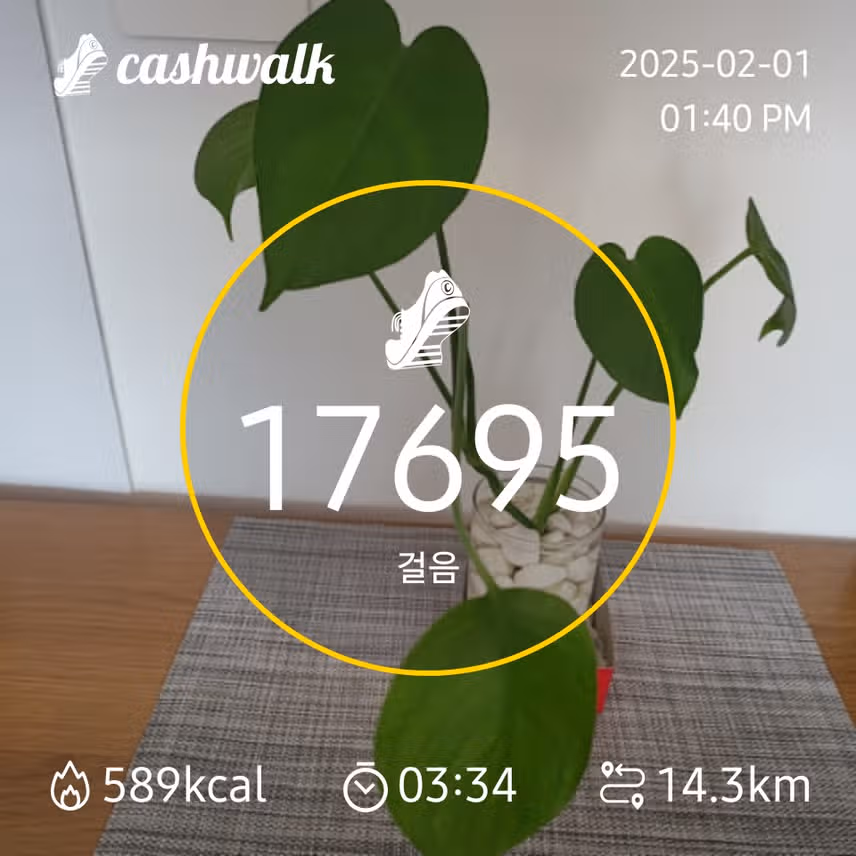 만보걷기 
