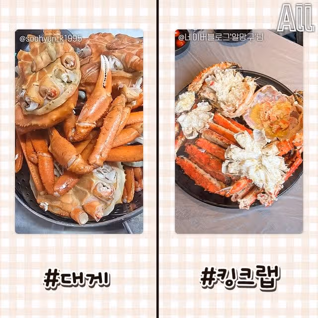 비슷한 듯 다른 음식들