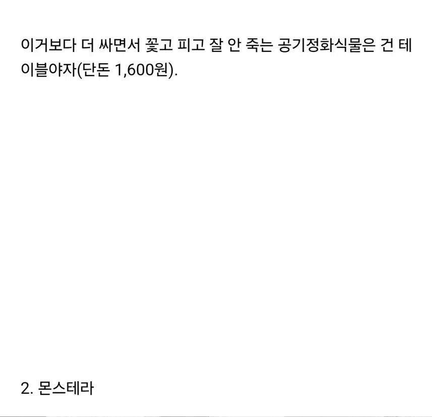 키우기 쉽고 가성비 좋은 공기정화식물
