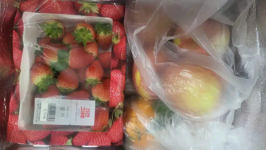 과일 가득 담아 왔어요. 🍓 🍎 🍊 