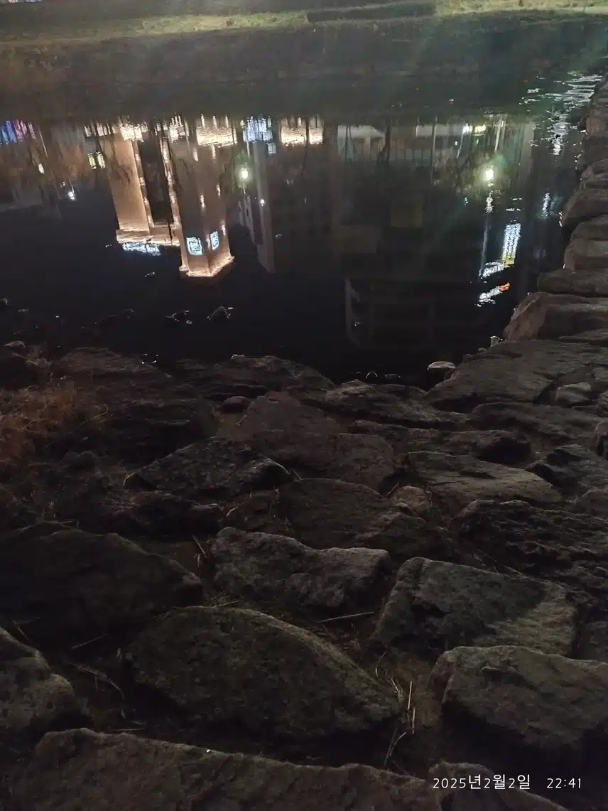산책 복귀