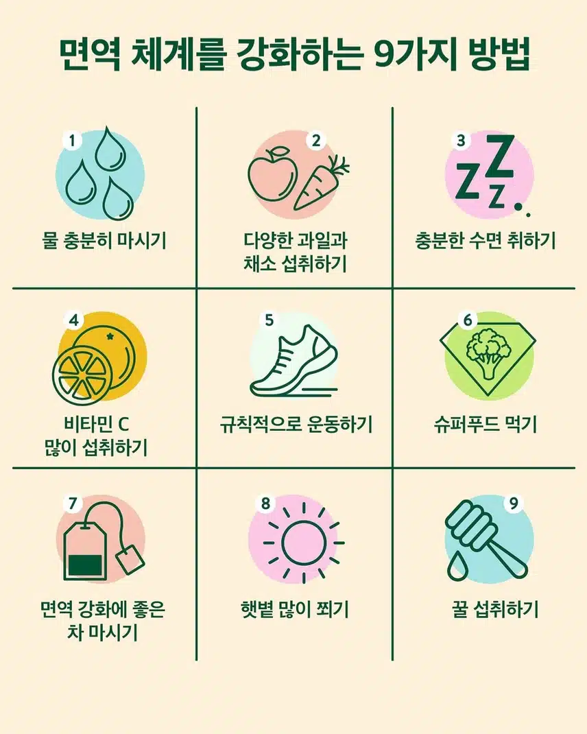 면역 체계를 강화하는 9가지 