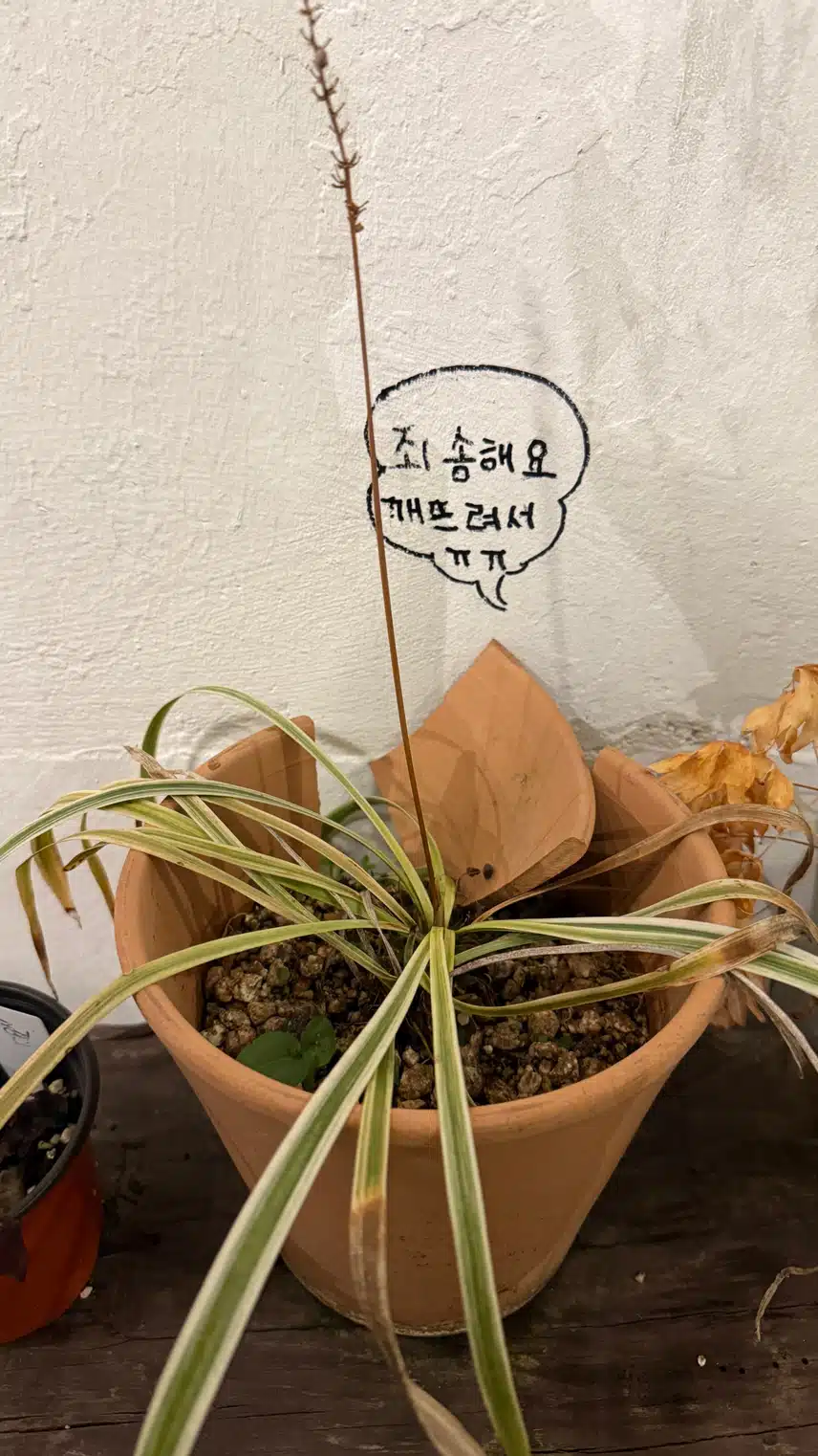 양심선언???