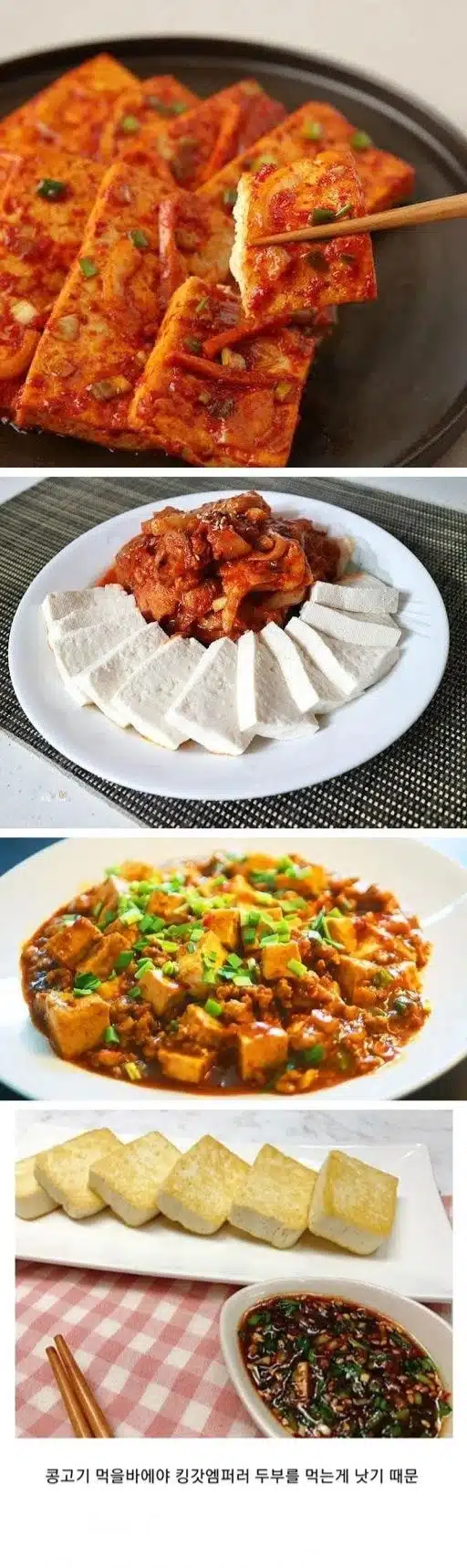 한국에서 콩고기가 반응 없는 이유