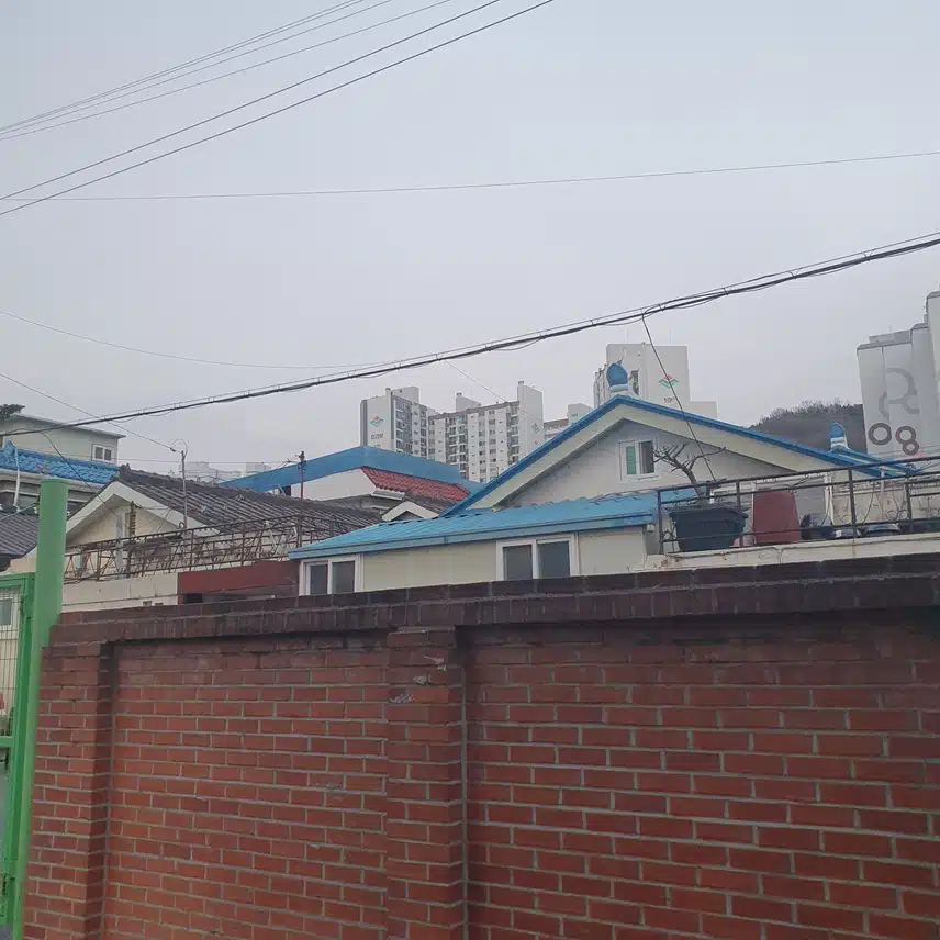 오늘도 산책은 즐겁습니다