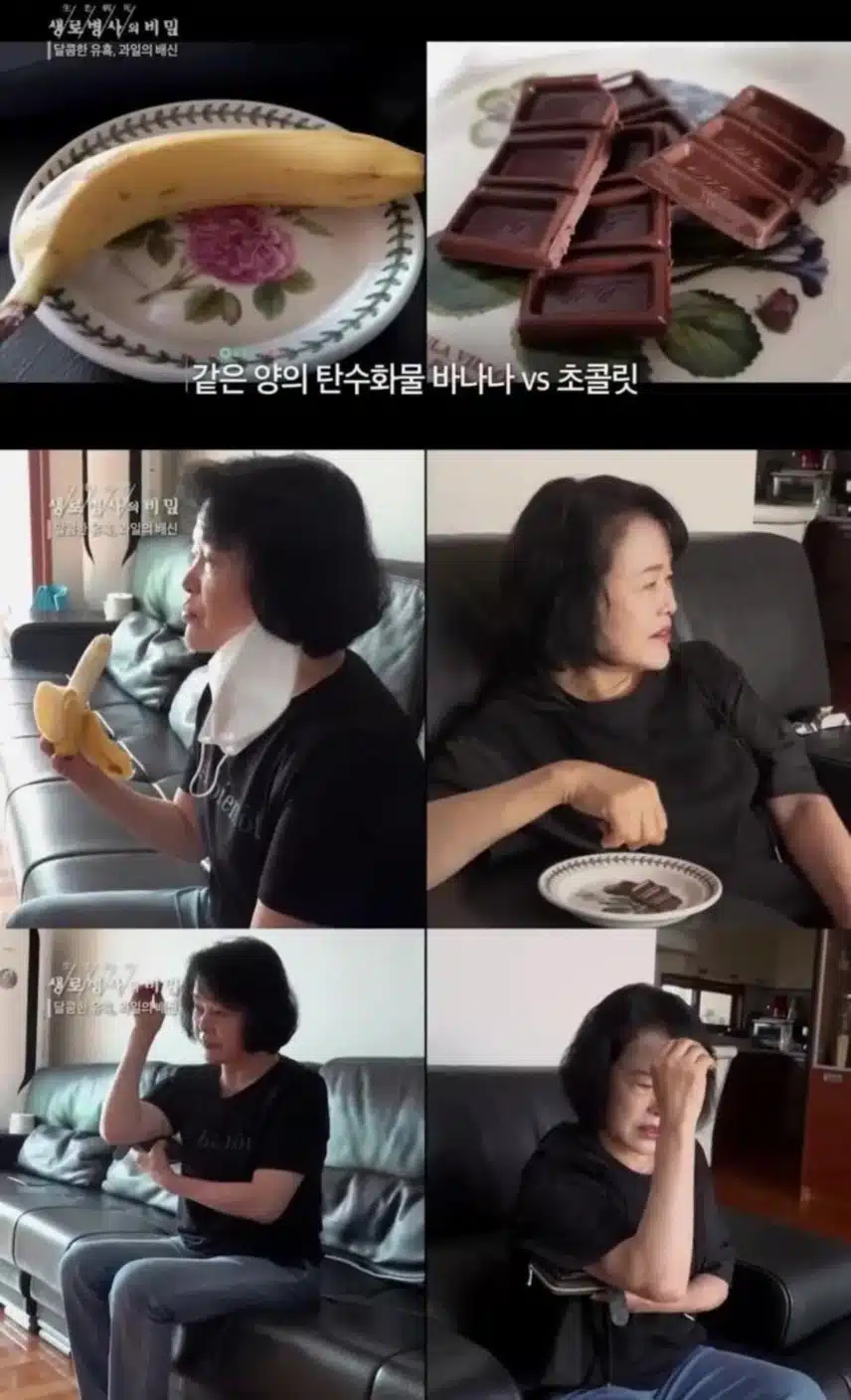 (혈당) 바나나 VS 초코렛 혈당 대결