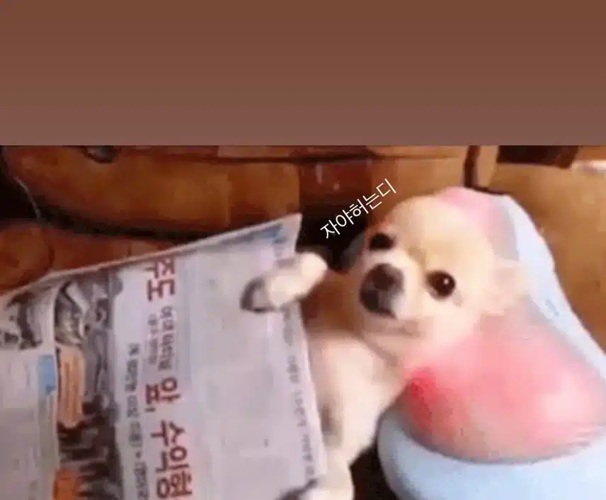 뉴진스 민지, 인스타업 (연휴 끝, 버니즈들을 위해)
