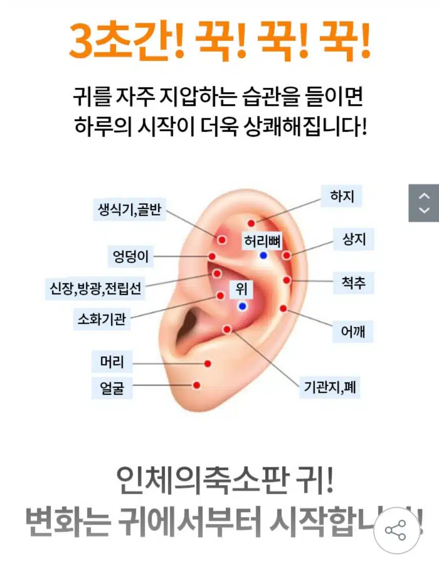 귀 지압
