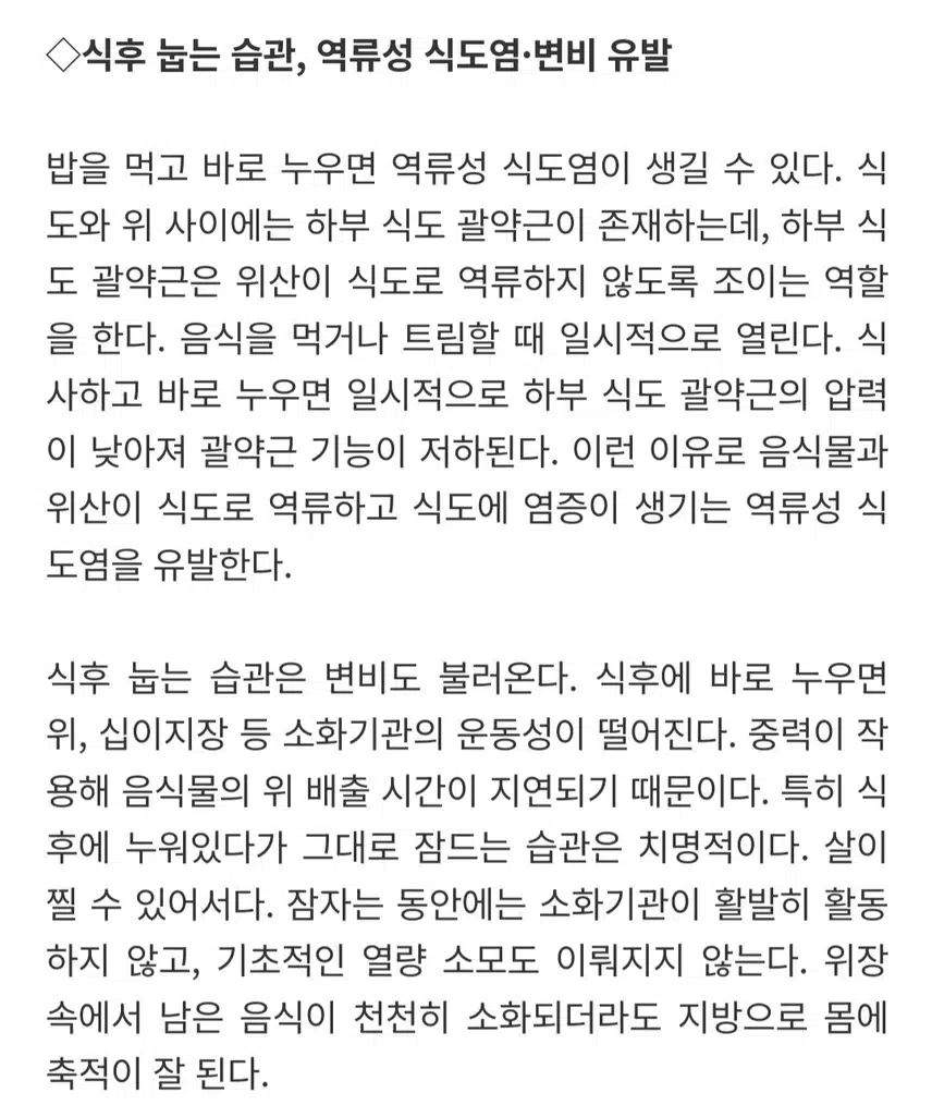 식사 맛있게 하셨어요?식후에 바로 누우면?🤔