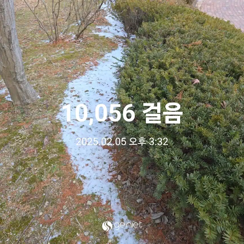 만보걷기운동 