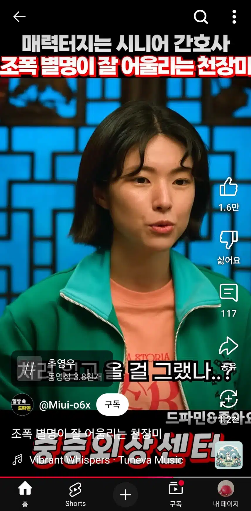 천장미