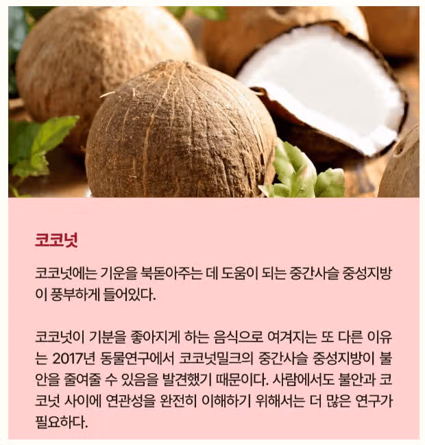 기운없어요? 코코넛드세요 ! 강추