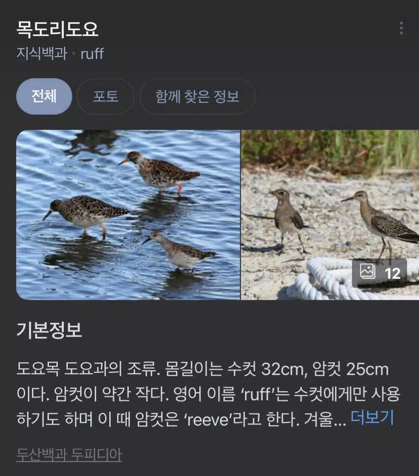 외출 시 귀도리 꼭 하세요 그리고
