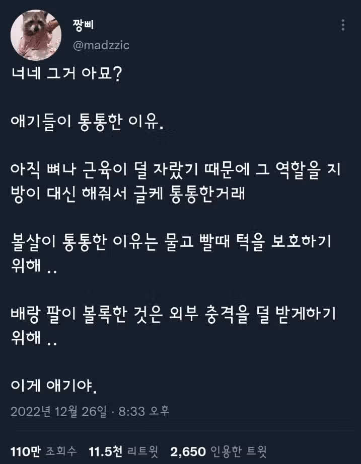 애기들이 통통한 이유