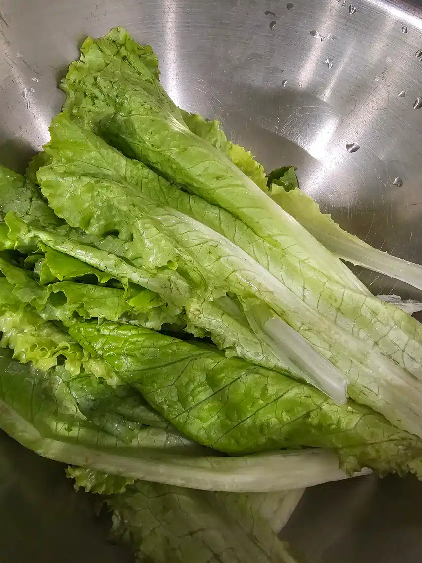 야채로 상추쌈 먹어요