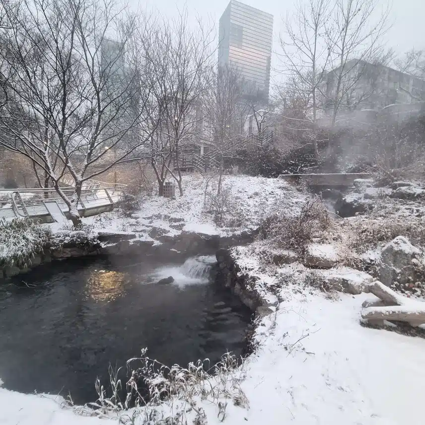 눈길 산책