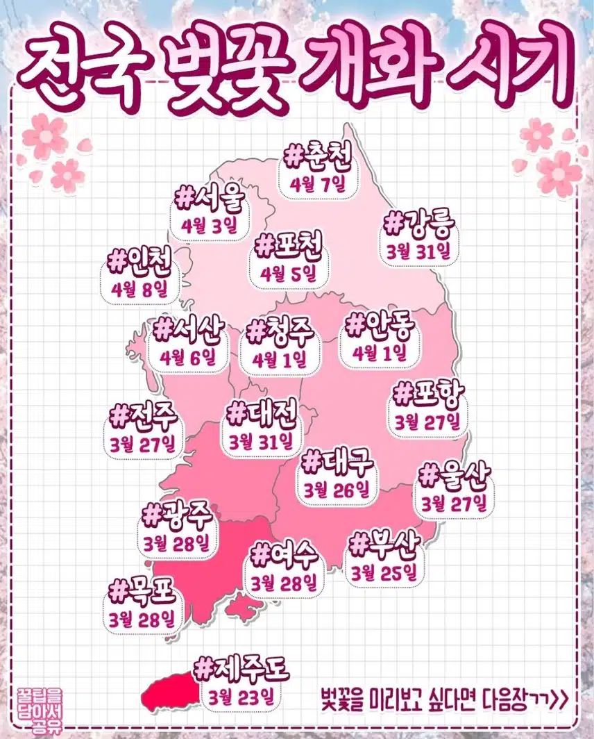 전국 벚꽃 개화 시기