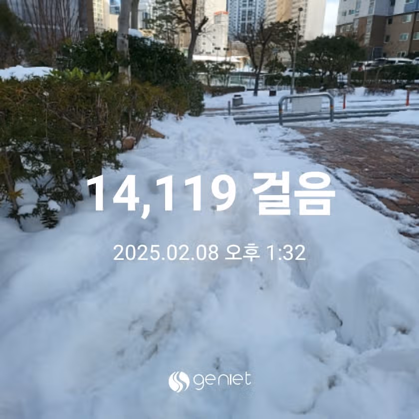 점심 후 산책길 걷기운동 
