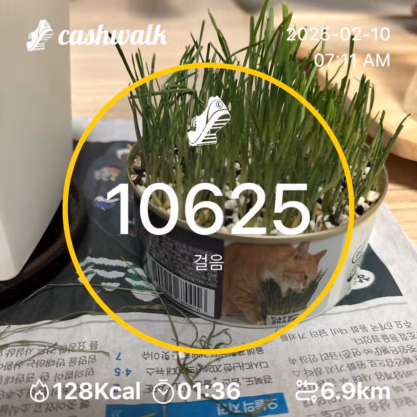 인증