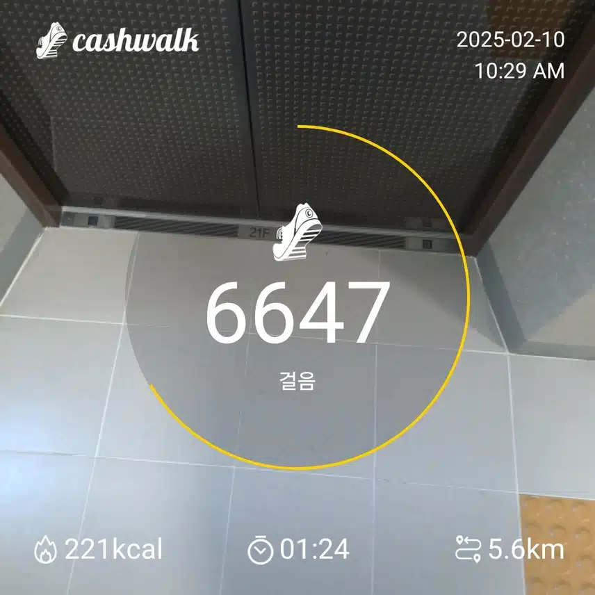 인증