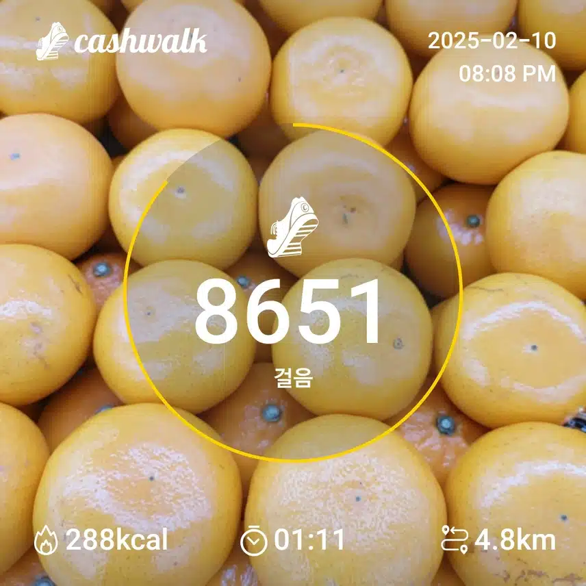 걷기 