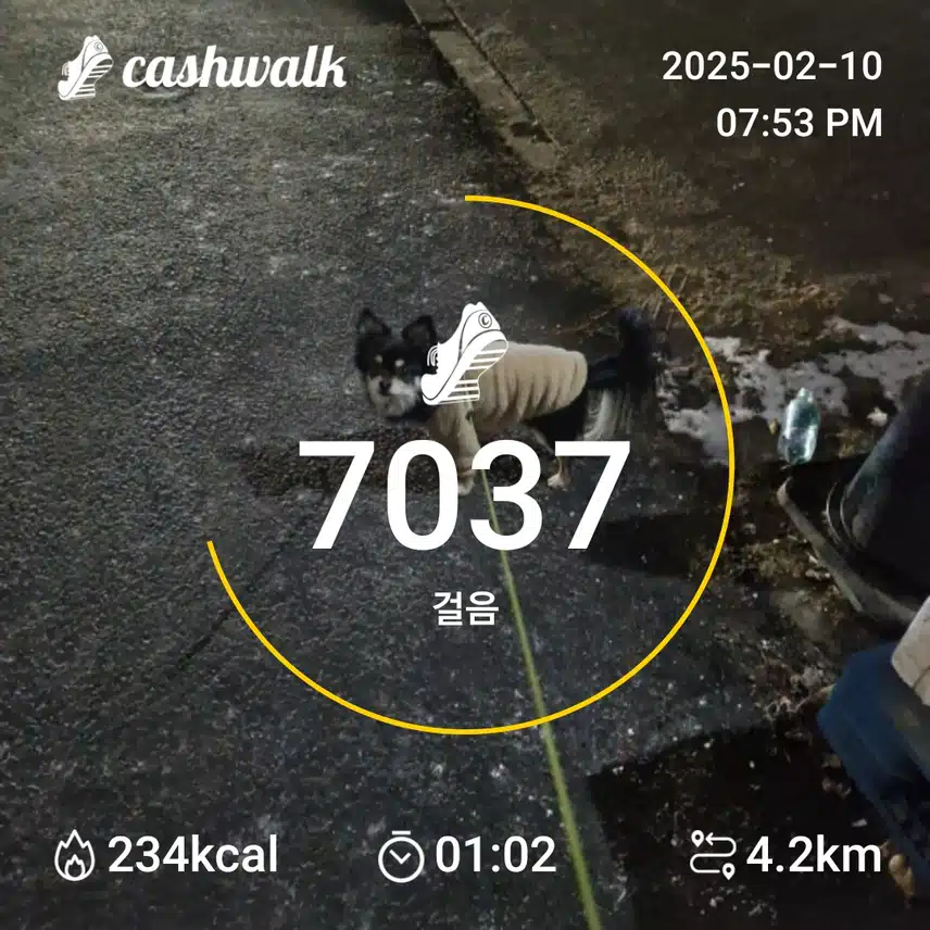 인증