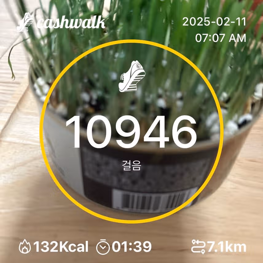 인증