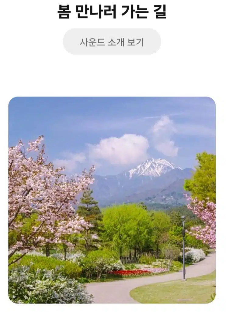 봄 만나러 가요.🌸 ㅡ아침 명상으로 