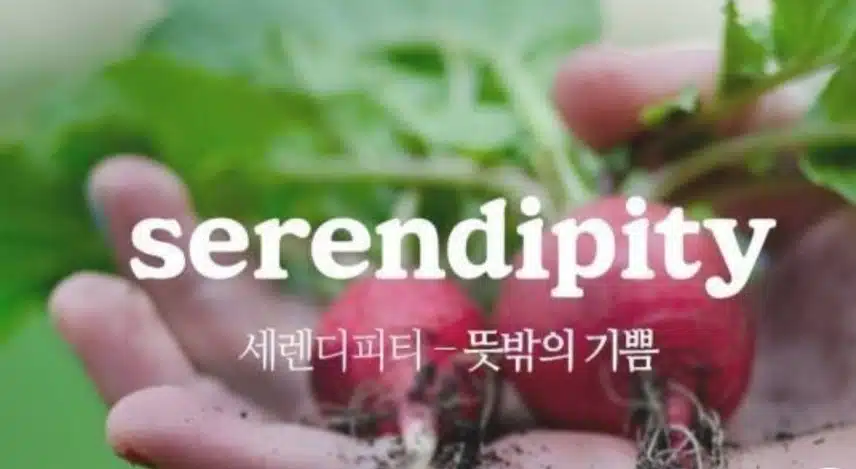 예쁜 영단어