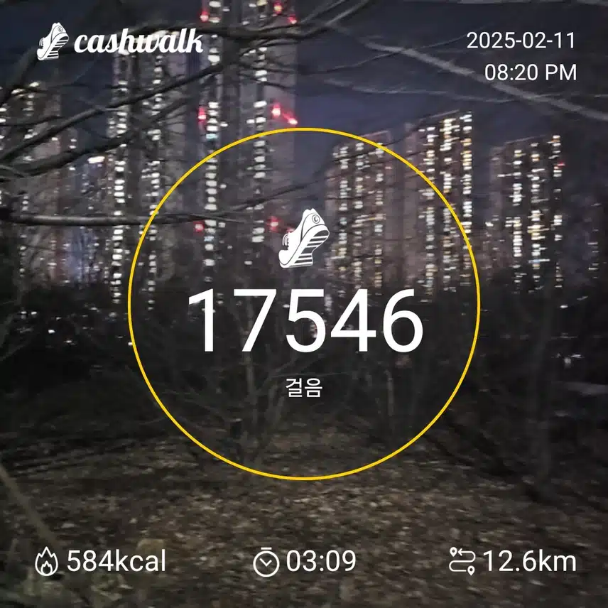 인증
