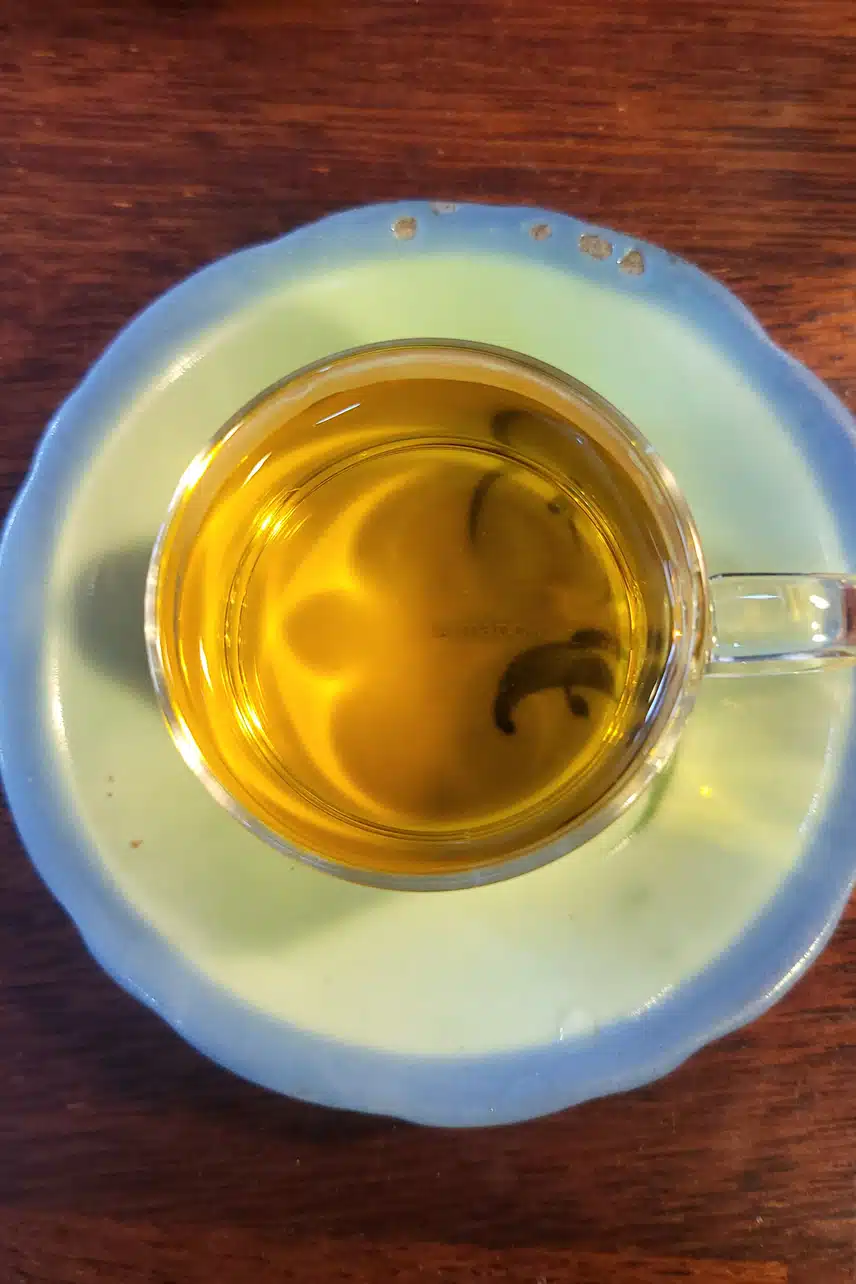 녹차 한잔의 피로회복 🍵