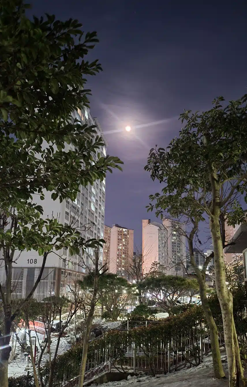  🌕 보름달빛과 걸어요.