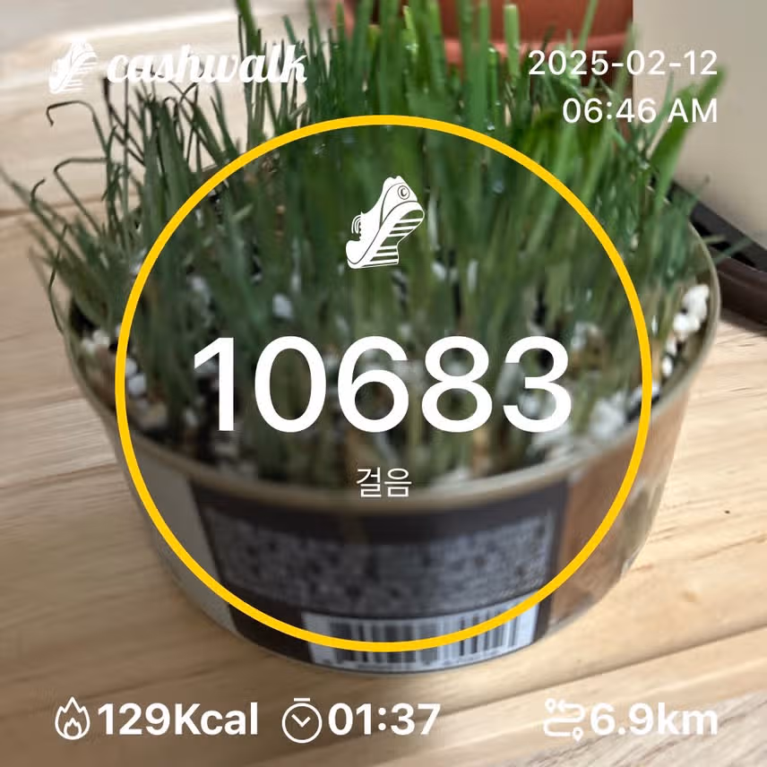 인증