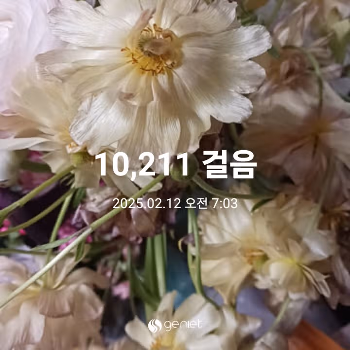 오늘의 아침운동