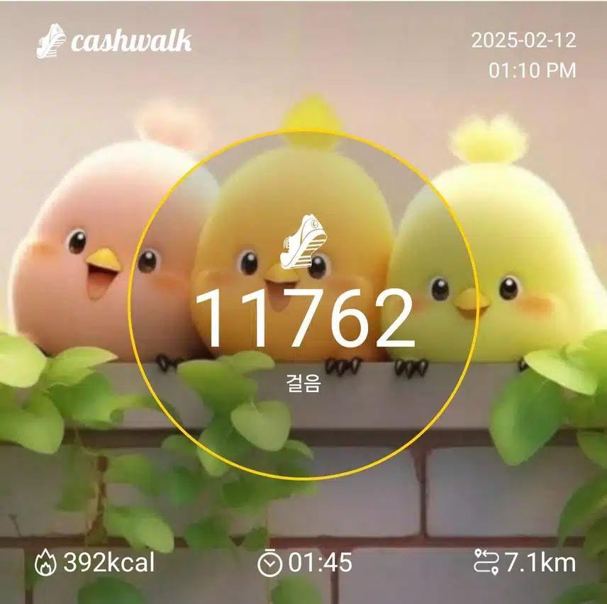 인증