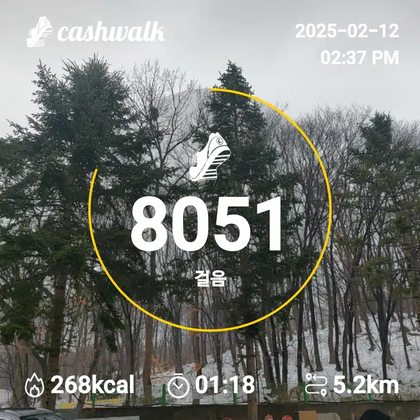 인증