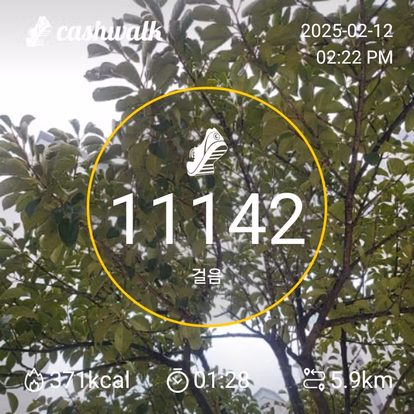 몬타 인증