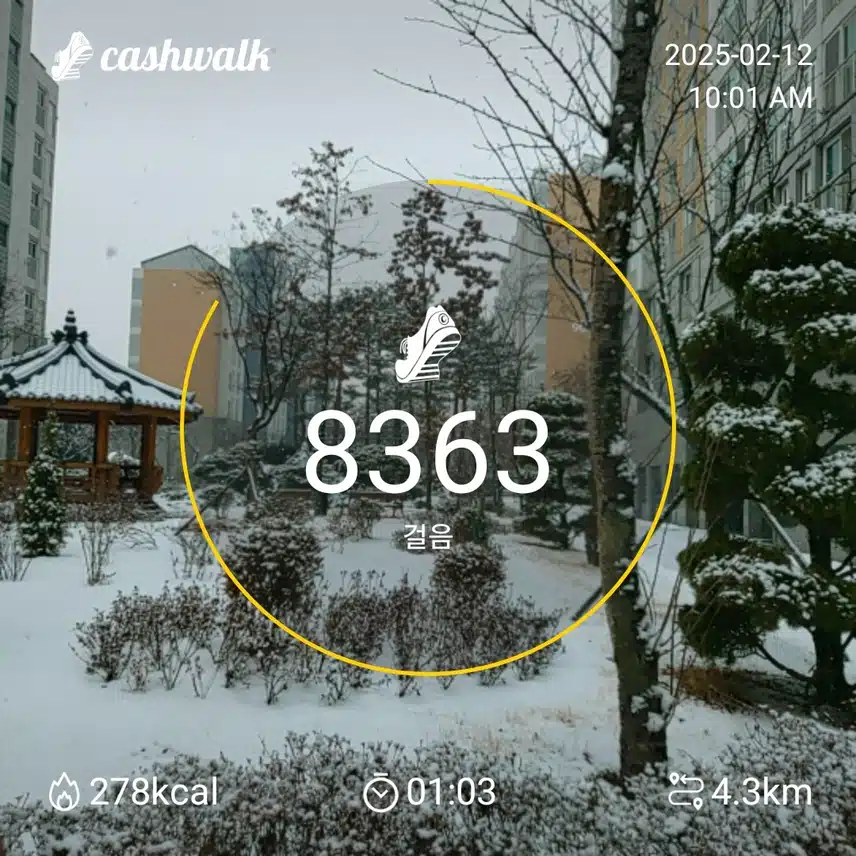 7000보 걷기